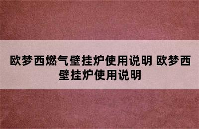 欧梦西燃气壁挂炉使用说明 欧梦西壁挂炉使用说明